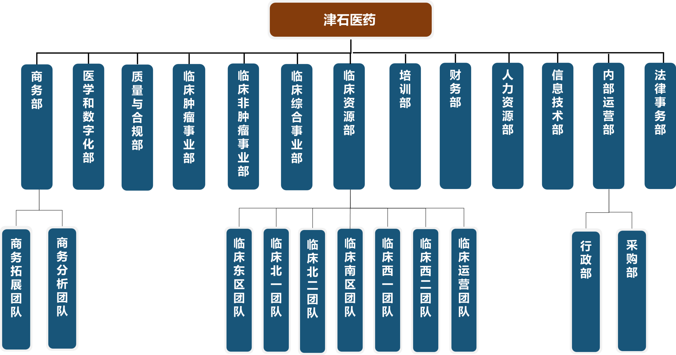 津石医药组织架构图