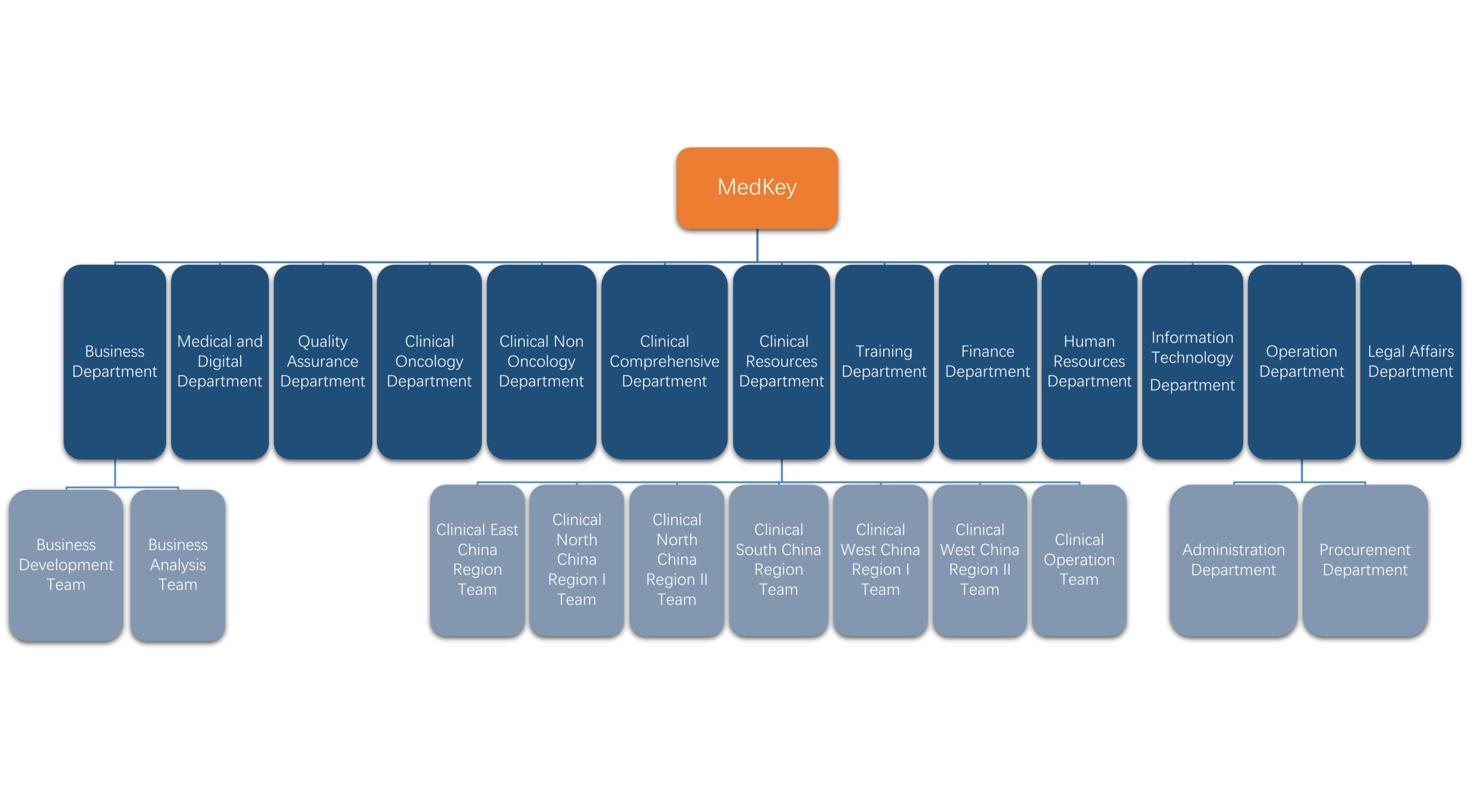 MedKey Organizational Chart